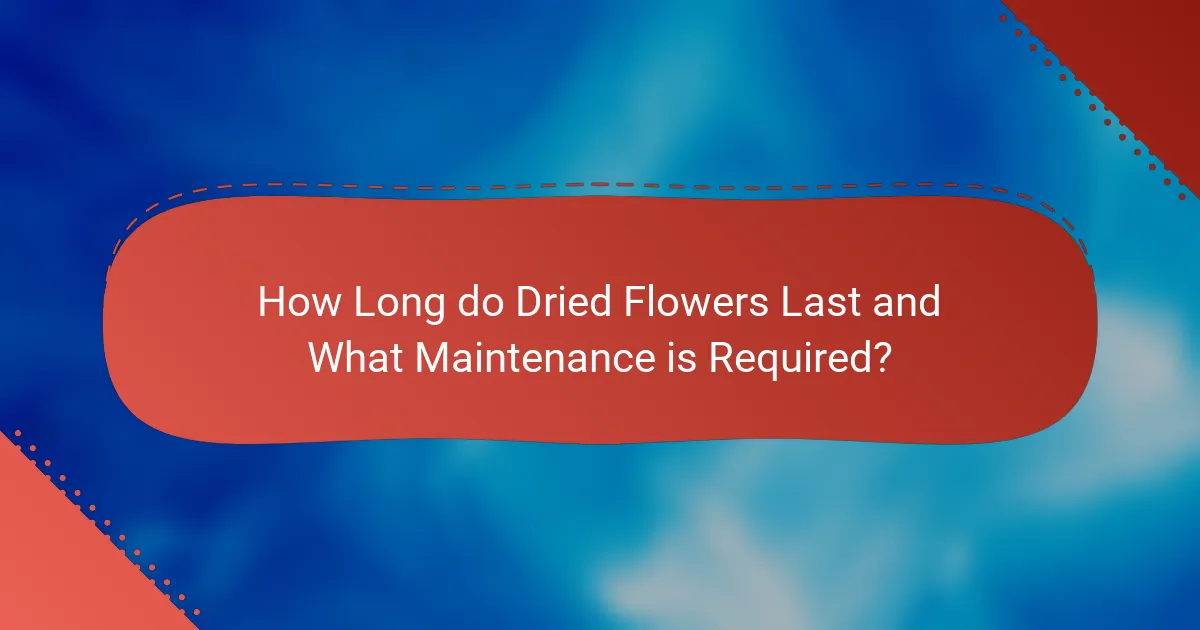 How Long do Dried Flowers Last and What Maintenance is Required?