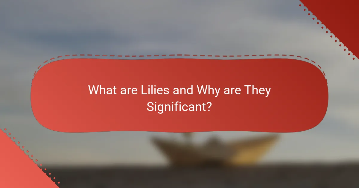 What are Lilies and Why are They Significant?