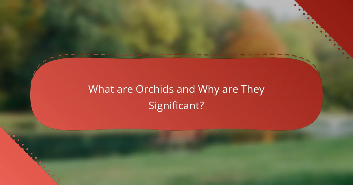 What are Orchids and Why are They Significant?