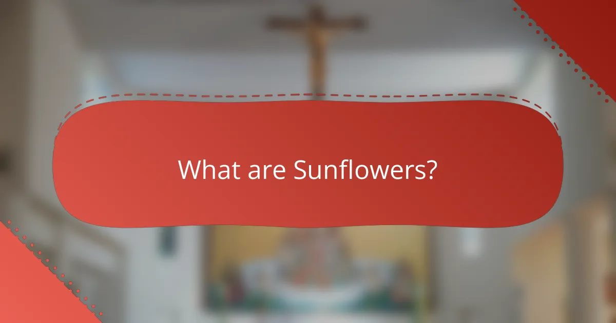 What are Sunflowers?