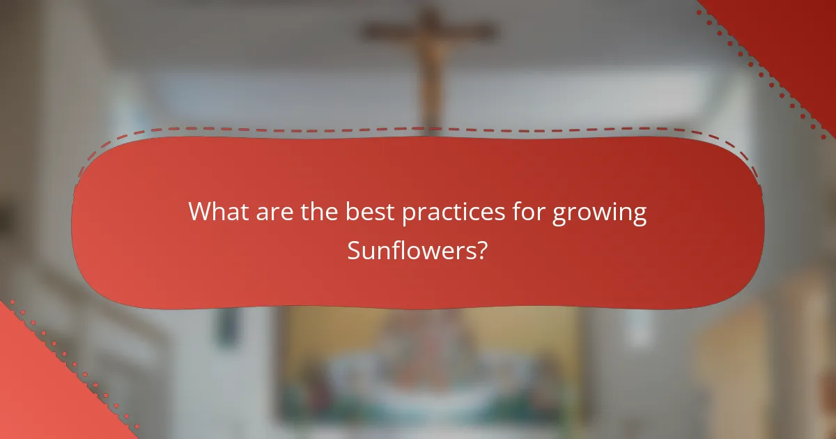 What are the best practices for growing Sunflowers?