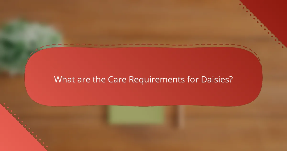 What are the Care Requirements for Daisies?