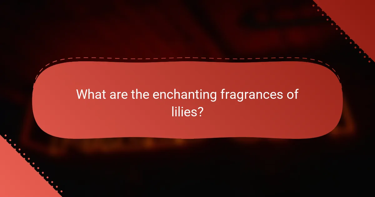 What are the enchanting fragrances of lilies?