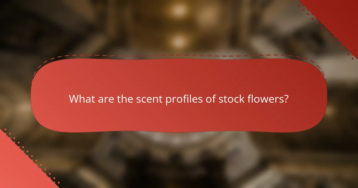 What are the scent profiles of stock flowers?