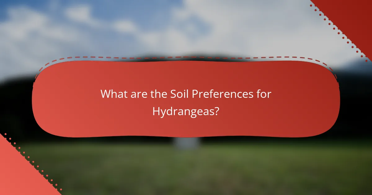 What are the Soil Preferences for Hydrangeas?