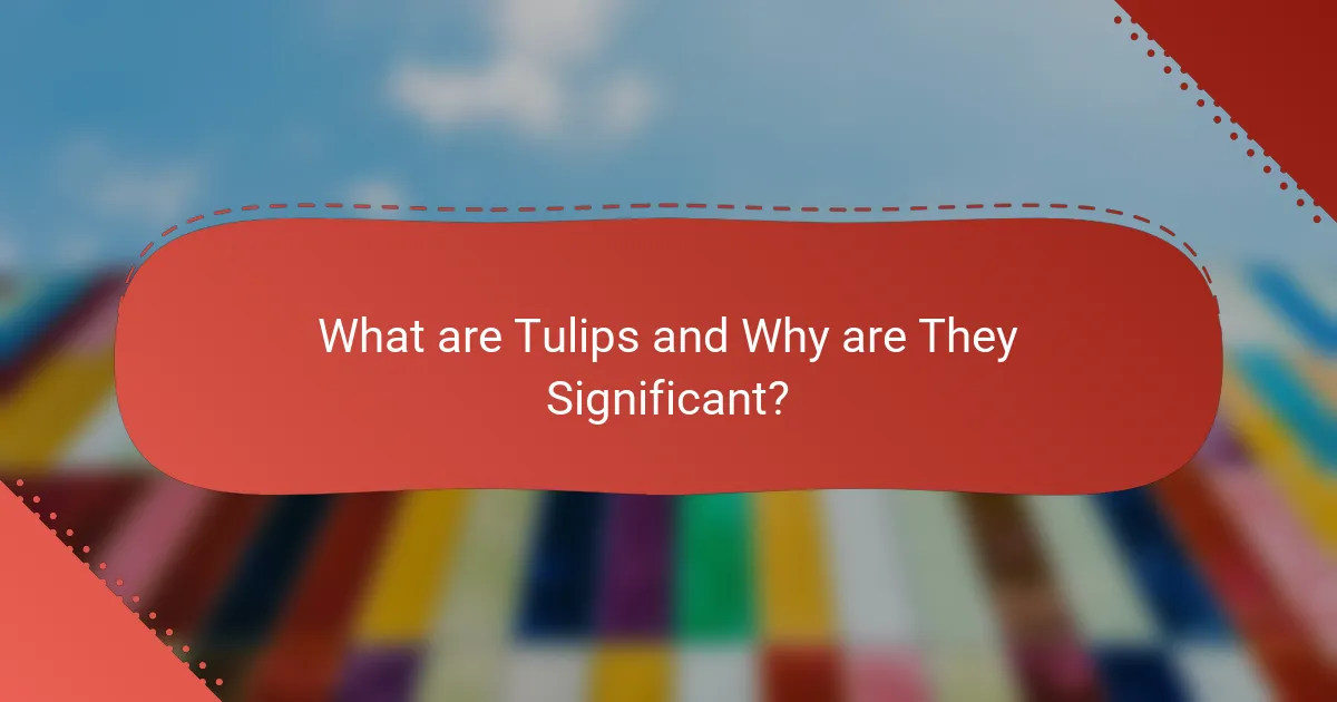 What are Tulips and Why are They Significant?