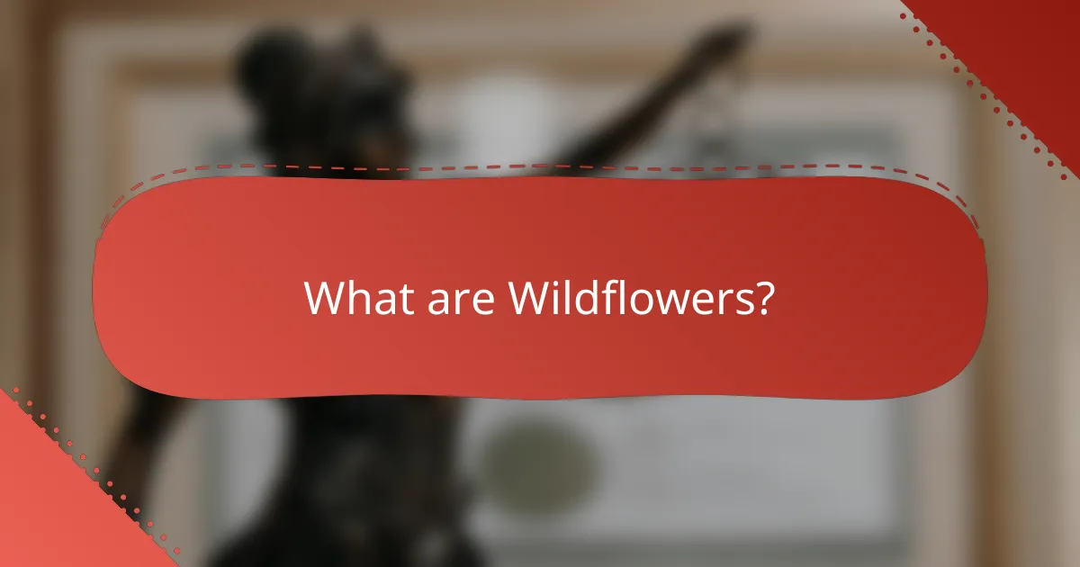 What are Wildflowers?