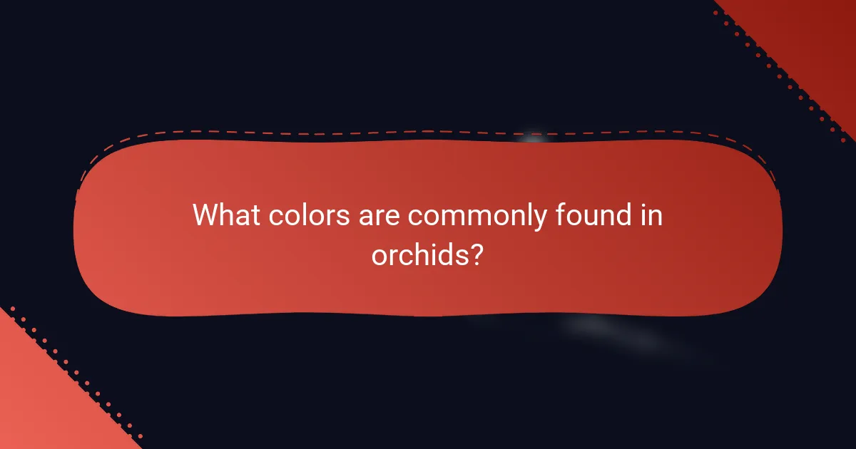 What colors are commonly found in orchids?