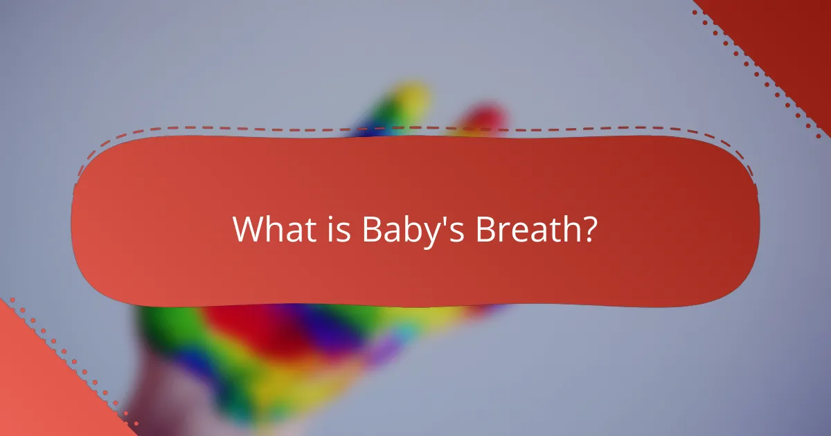 What is Baby's Breath?