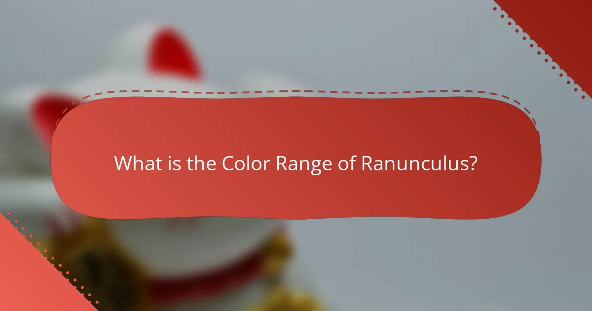 What is the Color Range of Ranunculus?