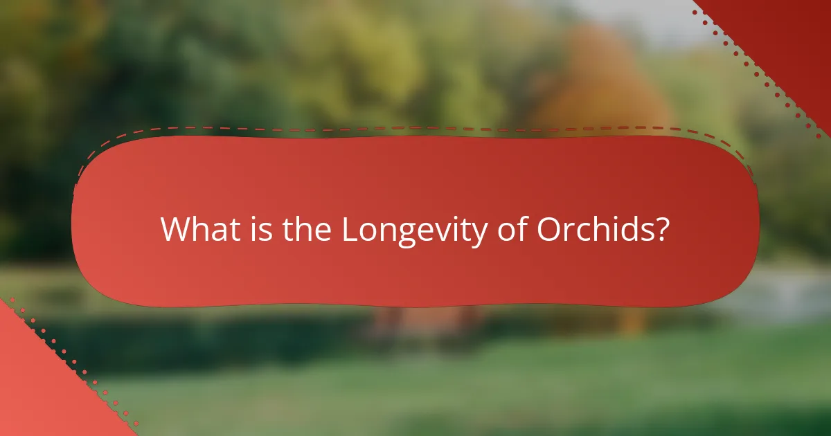What is the Longevity of Orchids?