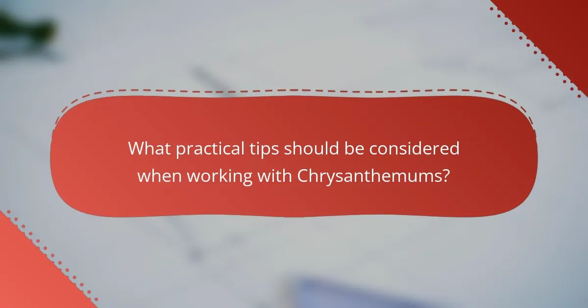 What practical tips should be considered when working with Chrysanthemums?